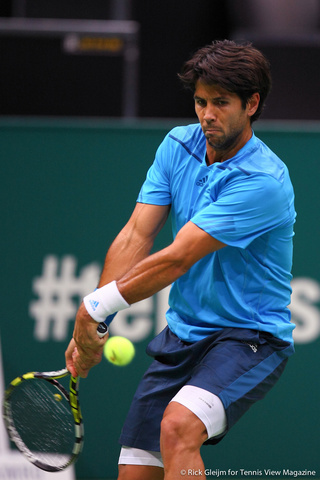 Fernando Verdasco Rotterdam 2014