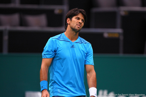 Fernando Verdasco Rotterdam 2014