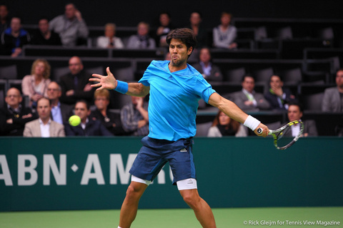 Fernando Verdasco Rotterdam 2014