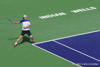 Taro Daniel