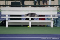 On The Practice Courts at Indian Wells