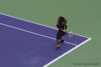 Venus and Serena Williams