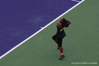 Venus and Serena Williams