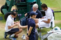 Wimbledon Gentlemen's Singles Final