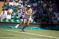 Wimbledon: Day Three