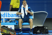 Andy Murray Australian Open 2014