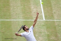 Wimbledon Gentlemen's Singles Final