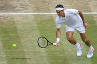 Wimbledon Gentlemen's Singles Final