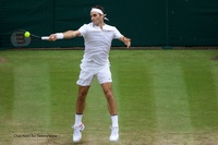 Wimbledon Gentlemen's Singles Final