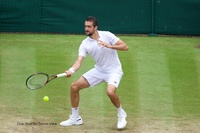 Wimbledon Gentlemen's Singles Final