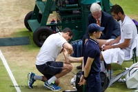 Wimbledon Gentlemen's Singles Final