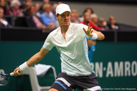 Tomas Berdych Rotterdam 2014