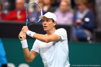 Tomas Berdych Rotterdam 2014