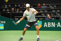 Tomas Berdych Rotterdam 2014