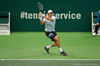 Tomas Berdych Rotterdam 2014