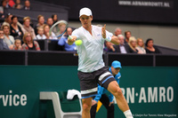 Tomas Berdych Rotterdam 2014