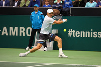 Tomas Berdych Rotterdam 2014