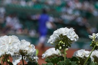 Roland Garros (Day 9)