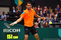 Marin Cilic Rotterdam 2014