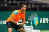 Marin Cilic Rotterdam 2014