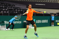 Marin Cilic Rotterdam 2014