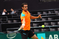 Marin Cilic Rotterdam 2014