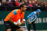 Marin Cilic Rotterdam 2014