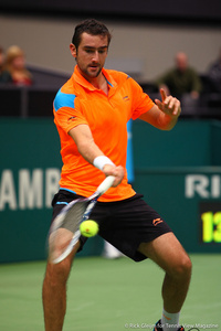 Marin Cilic Rotterdam 2014