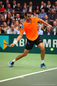 Marin Cilic Rotterdam 2014