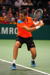 Marin Cilic Rotterdam 2014