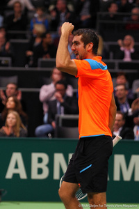 Marin Cilic Rotterdam 2014