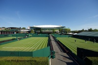 Morning At Wimbledon