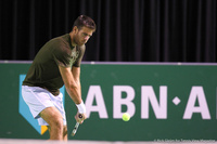 Juan Martin del Potro Rotterdam 2014