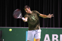 Juan Martin del Potro Rotterdam 2014