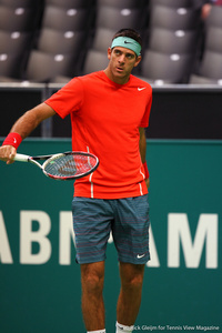 Juan Martin del Potro Rotterdam 2014