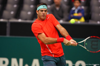 Juan Martin del Potro Rotterdam 2014