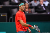 Juan Martin del Potro Rotterdam 2014