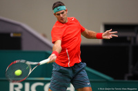 Juan Martin del Potro Rotterdam 2014