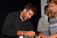 Juan Martin del Potro Rotterdam 2014