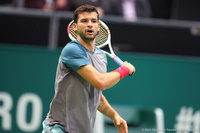 Grigor Dimitrov Rotterdam 2014