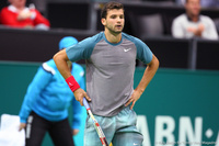 Grigor Dimitrov Rotterdam 2014