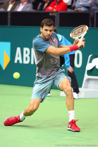 Grigor Dimitrov Rotterdam 2014