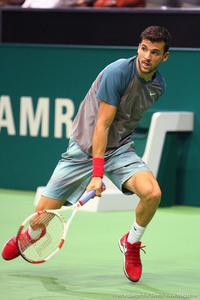 Grigor Dimitrov Rotterdam 2014