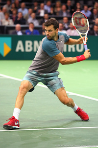 Grigor Dimitrov Rotterdam 2014