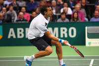 Ernests Gulbis Rotterdam 2014