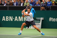 Ernests Gulbis Rotterdam 2014