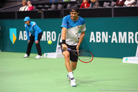 Tommy Haas Rotterdam 2014