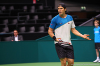 Tommy Haas Rotterdam 2014