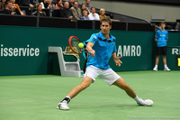 Florian Mayer Rotterdam 2014