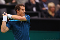 Andy Murray Rotterdam 2014